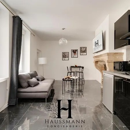 Magnifique Luxe Jacuzzi Centre Appartement